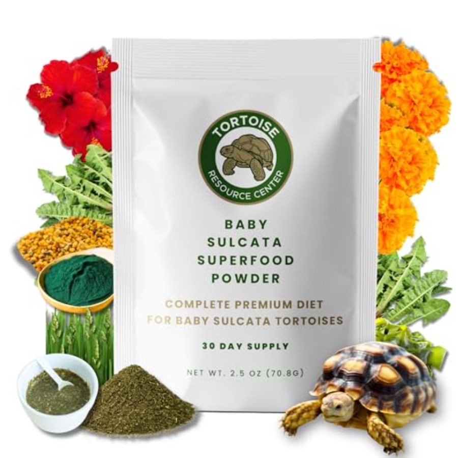 Baby Food Diet - 【Spot goods】Baby Sulcata Food Powder with
