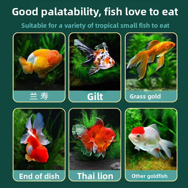 DEERA Micro Pellets Goldfish F - đánh giá và giá Baby Food Diet
