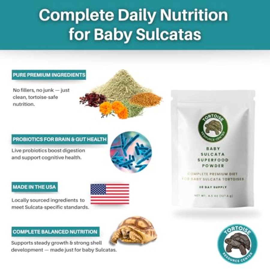 【Spot goods】Baby Sulcata Food  - đánh giá và giá Baby Food Diet
