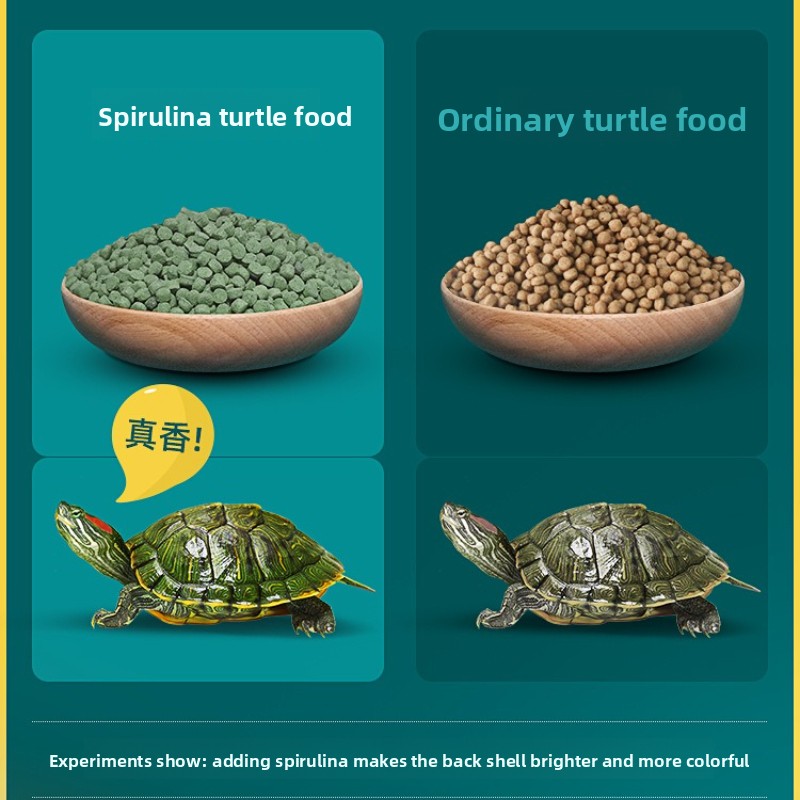 DEERA Red Eared Slider Turtle  - đánh giá và giá Baby Food Diet