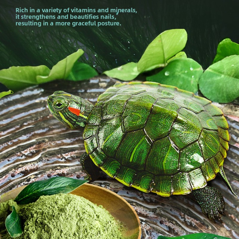 DEERA Red Eared Slider Turtle  - đánh giá và giá Baby Food Diet