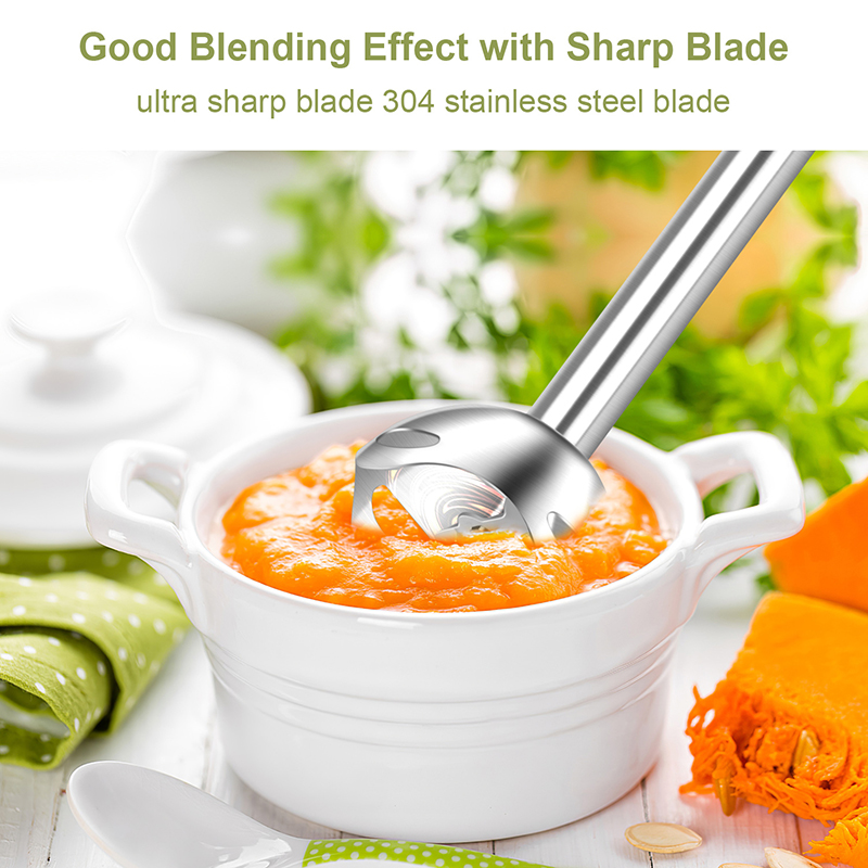 Wancle 600W Electric Hand Imme - đánh giá và giá Baby Food Zubereiter