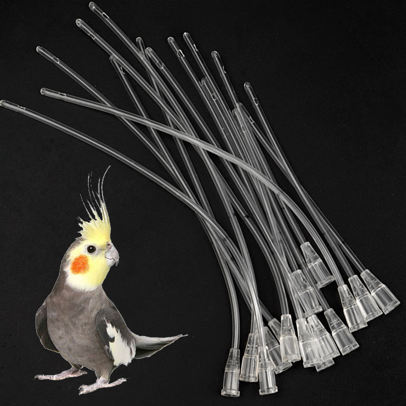 Bird Parrot Feeder Tube, Baby  - đánh giá và giá Feeding Baby Food